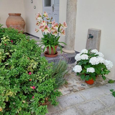 Villa Mostallino Assemini Exterior photo