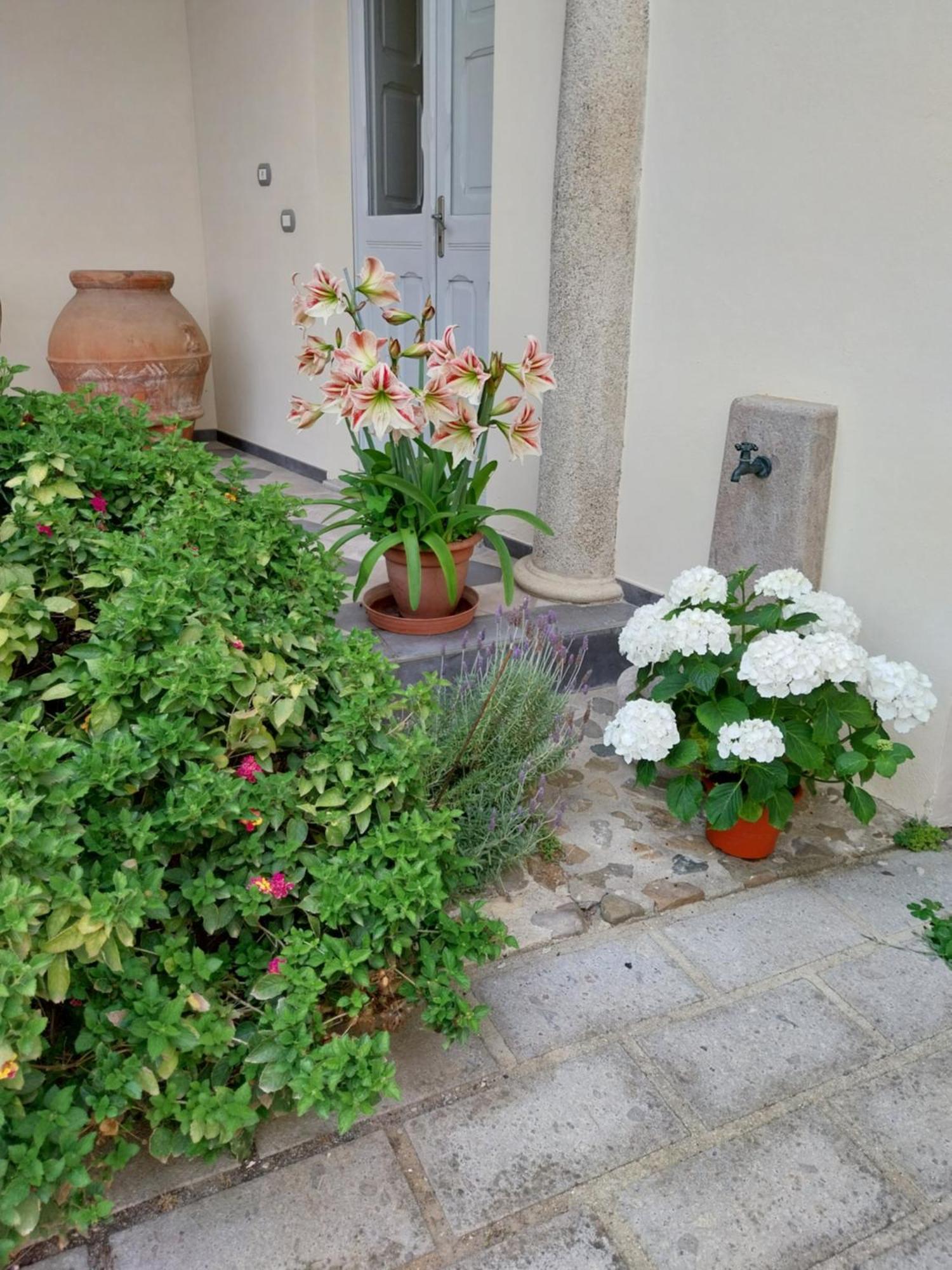Villa Mostallino Assemini Exterior photo
